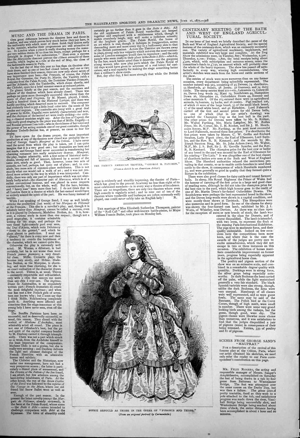 Old American Trotter George Patchen Sophie Arnould Pyramus Thisbe 187 Victorian