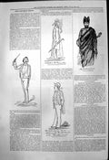 Original Old Antique Print Captious Critic Promenade Concerts Andaluscian 1877