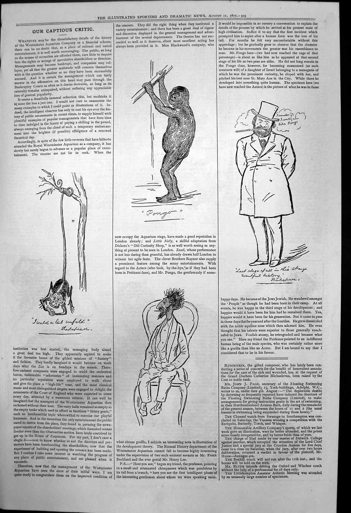 Antique Old Print Captious Critic Curiosity Shop Pongo Tail UnfShakspeare