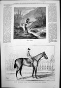 Old Trout Fishing Zoo Zoo American Crack Winner Stakes Saratoga 1877 Victorian