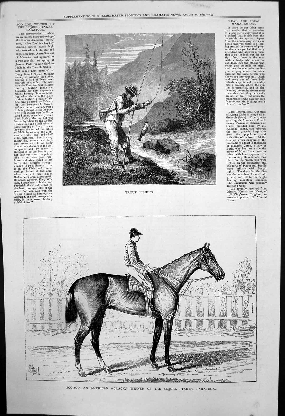 Old Trout Fishing Zoo Zoo American Crack Winner Stakes Saratoga 1877 Victorian