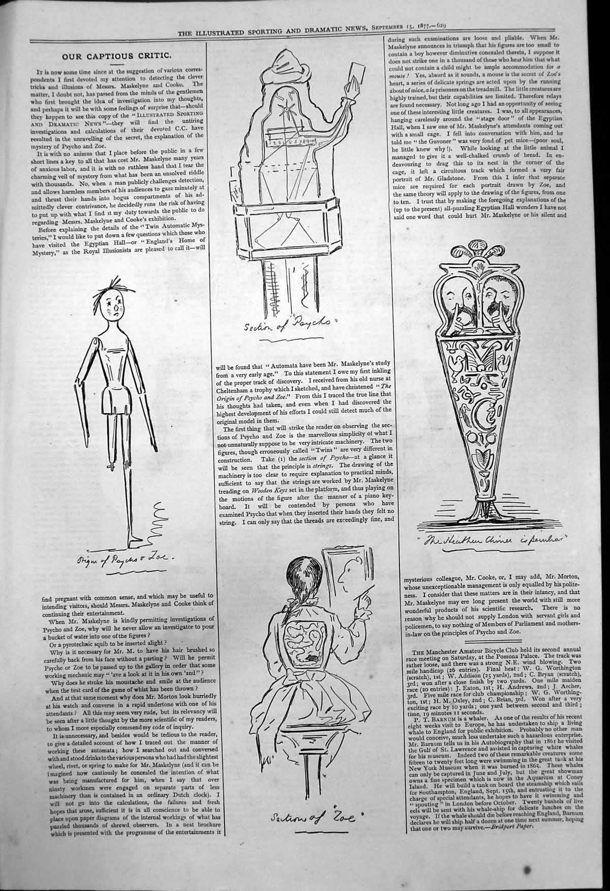 Old Captious Critic Origin Psycho Zoe Section Psycho Section Zoe 1877 Victorian