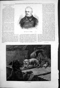 Old Antique Print Late M Thiers Enemies Dog Cat Protecting Kittens 1877 19th