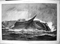 Old Print Hms Eurydice Last Seen Benjamin Cuddiford One Two Survivors 18 19th