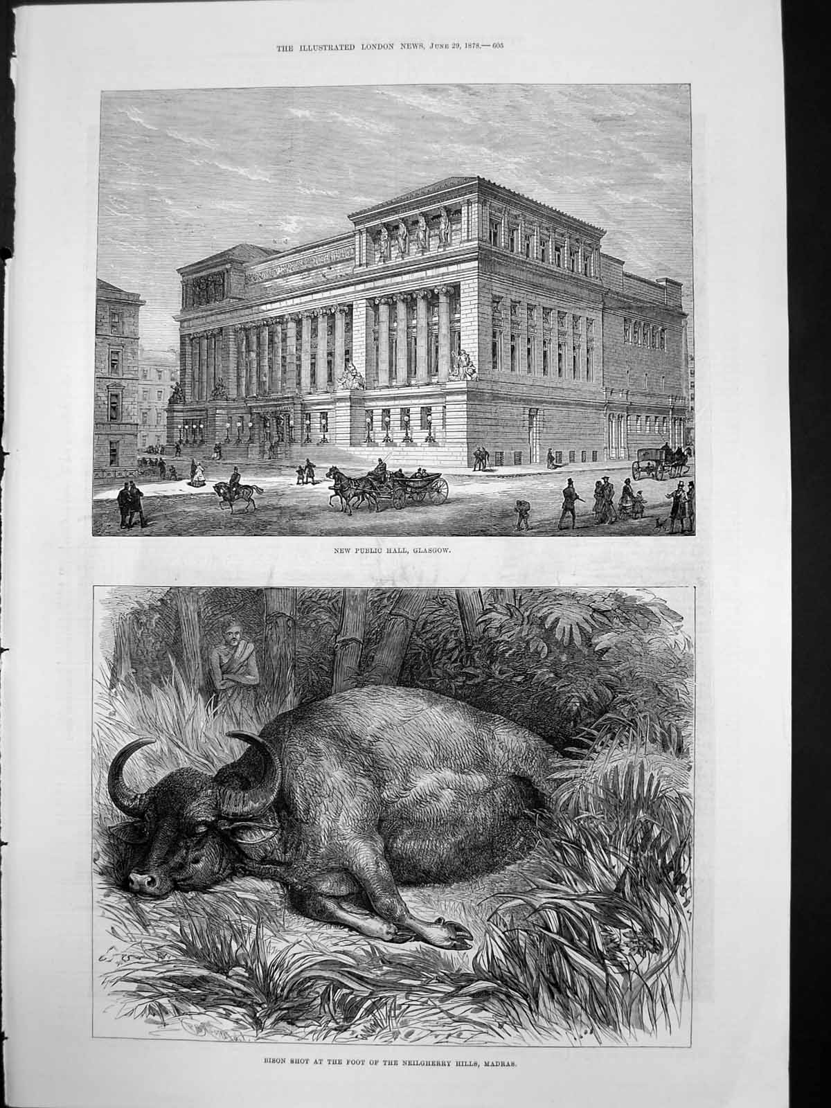 Old Print New Public Hall Glasgow Bison Shot Neilgherry Hills Madras 1878 19th