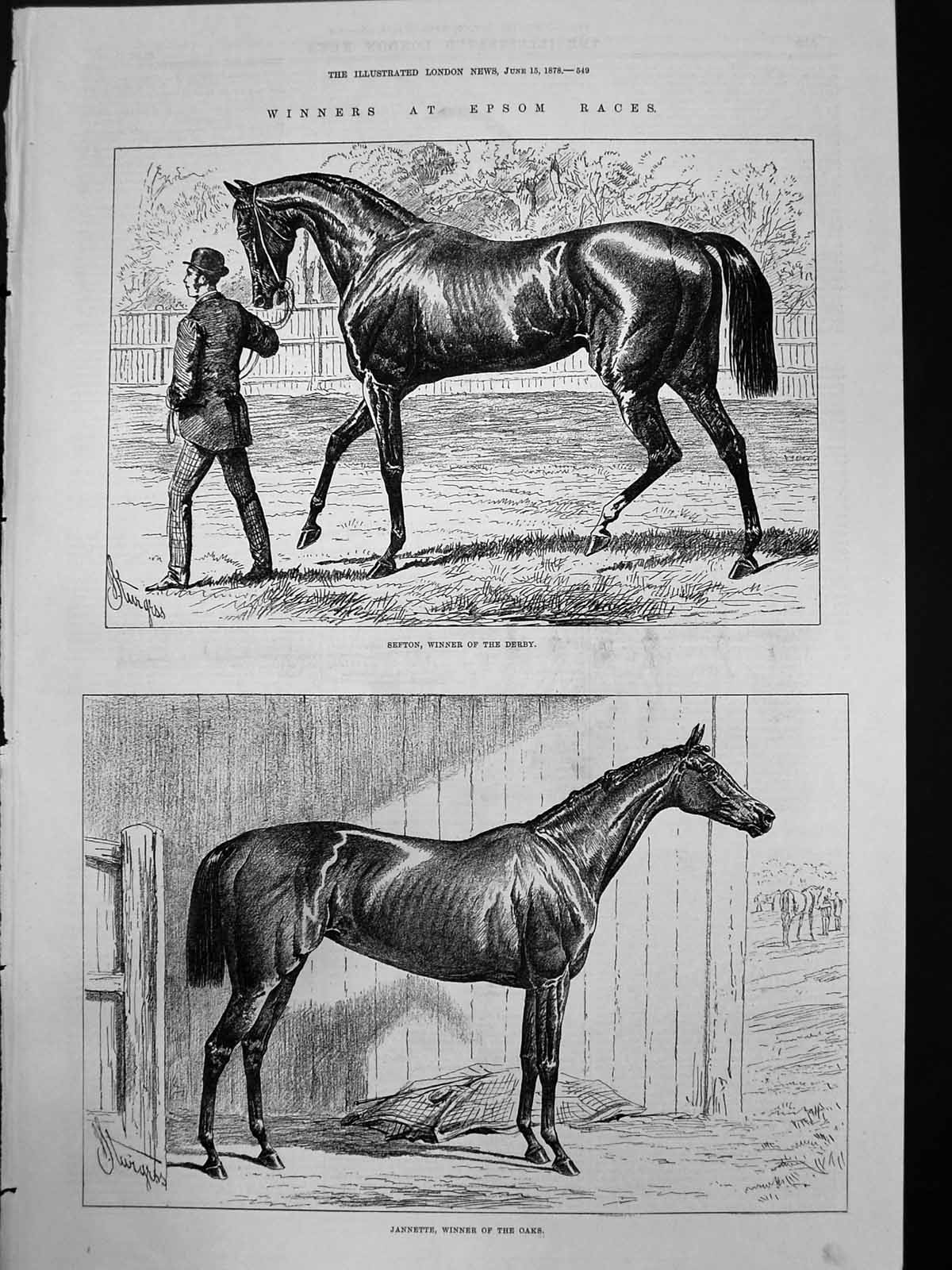 Antique Old Print Sefton Winner Derby Jannette Winner Oaks J Sturgess 1878 19th