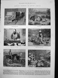 Old Print Ostrich Farming South Africa Incubating Room Feather Room 1878 19th
