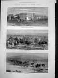 Old Print Ostrich Farming South Africa Heaterton Towers Grahamstown 1878 19th