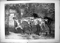 Old Print Suspense S E Waller Rider Horses Watch Men Sword Fighting 1881 19th
