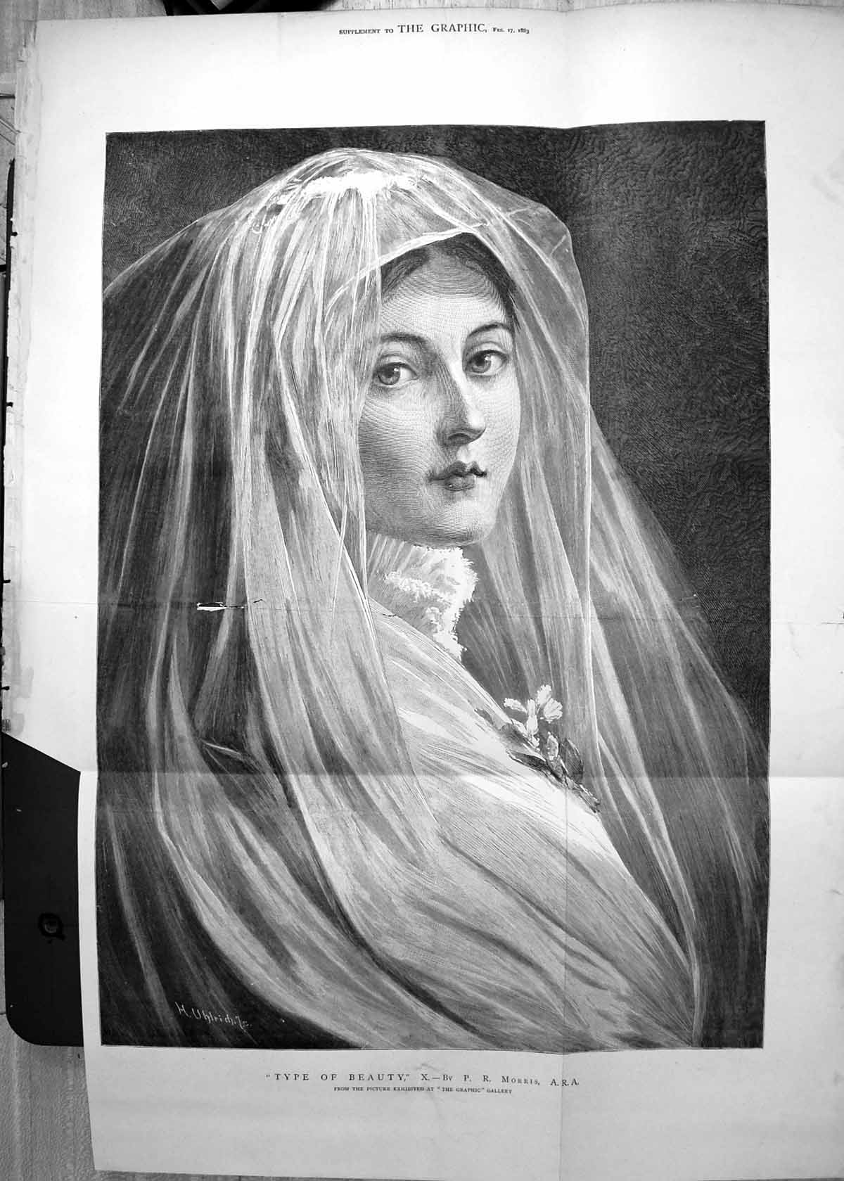 Old Antique Print Type Beauty P R Morris Woman Veil Graphic Gallery 1883 19th