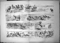 Old Print Capturing Wild Horses Laramie Plains North Western America 1887 19th