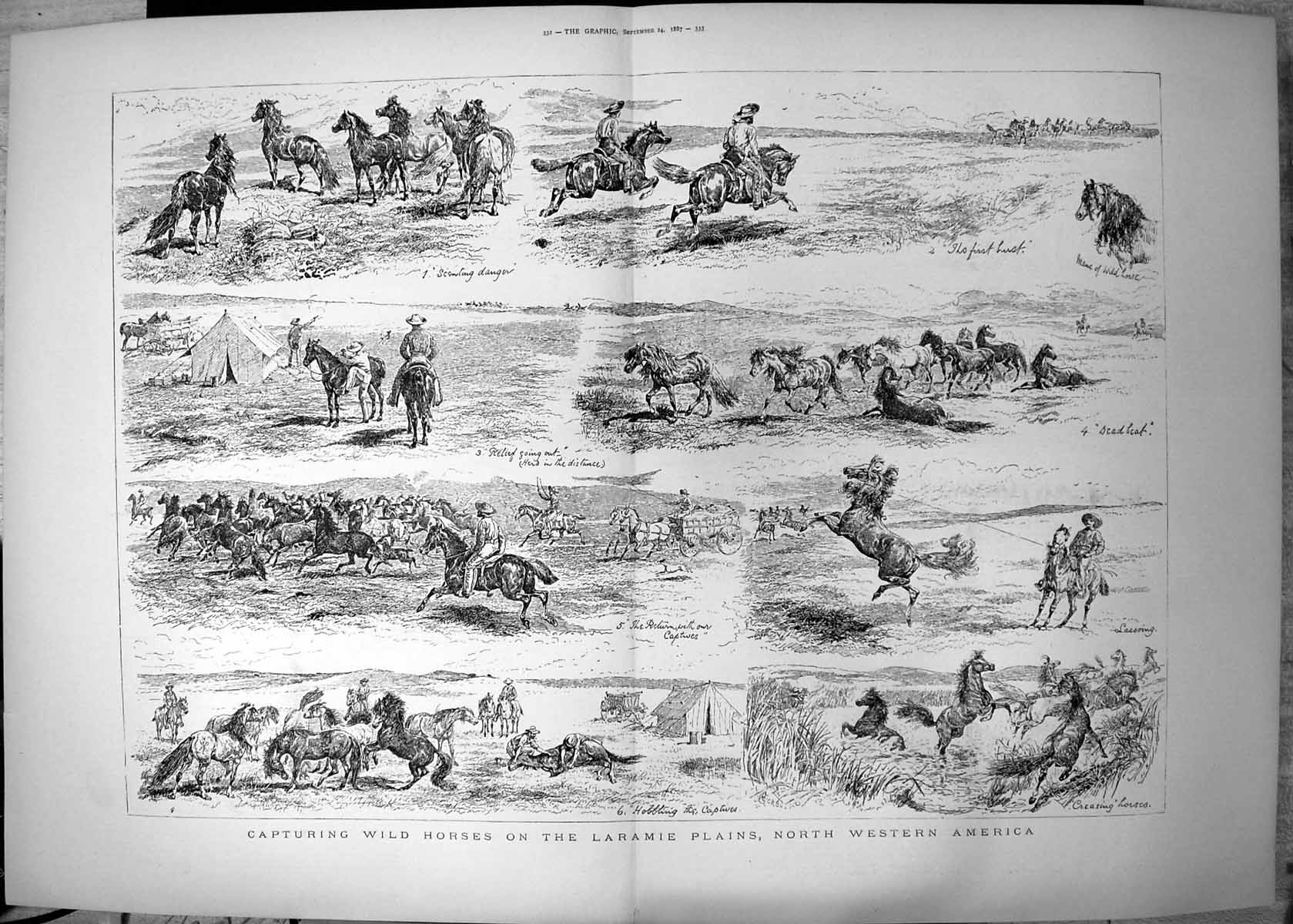 Old Print Capturing Wild Horses Laramie Plains North Western America 1887 19th