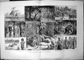 Antique Print Elephant Hunt Ceylon Kottiar Canoes Round Island Veddah 1887 19th