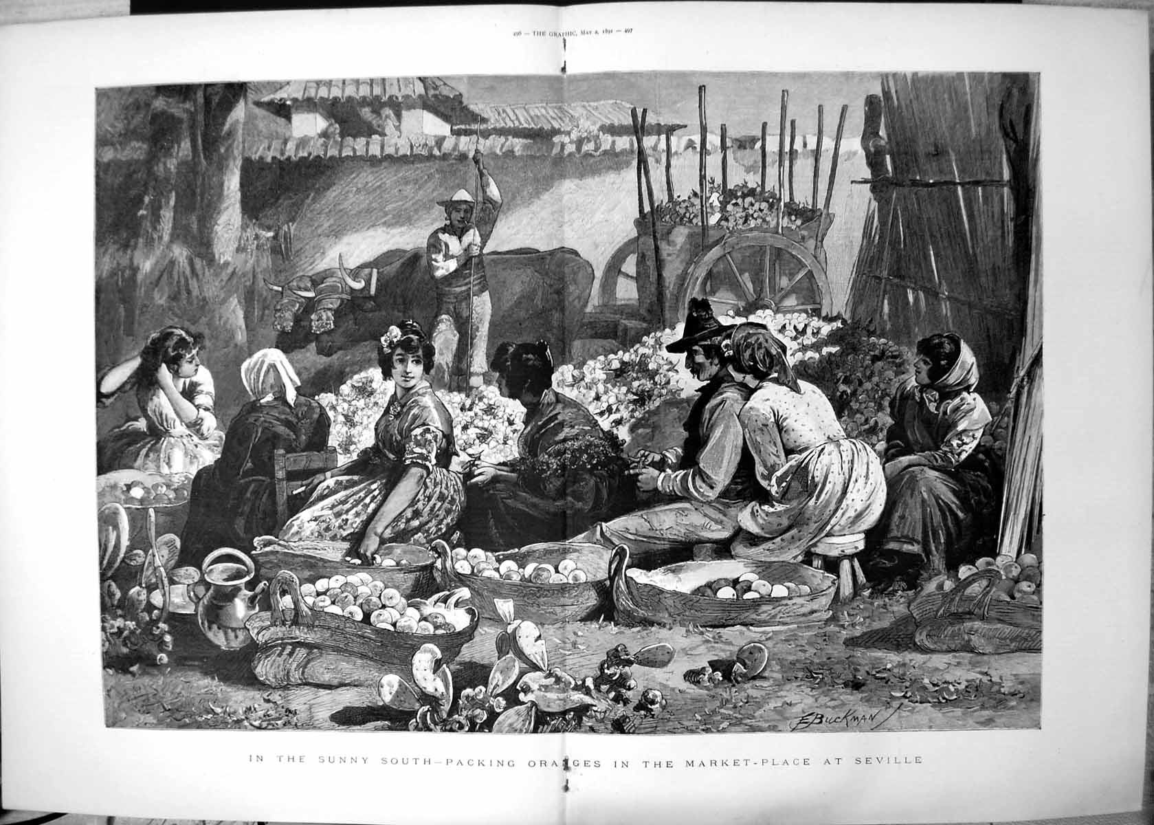 Old Antique Print Sunny South Packing Oranges Market Place Seville 1891 19th