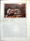 Antique Print Man Mattress Cottage Kitten From Trenches Hospital Nurse 1915