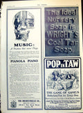 Antique Print Wright'S Coal Tar Soap Advert Popintaw Game Ermine Stole 1908
