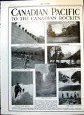 Old Print Canadian Pacific To Rockies Little Yoho Falls Royal Edward 1910 20th