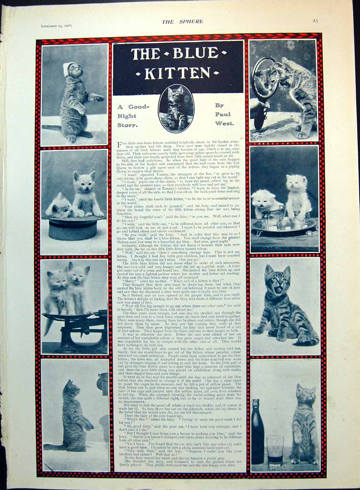 Old The Blue Kitten A Story Kittens Hat Scales Silverware Glass 1908 20th