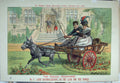 Original Old Antique Print 1891 Cartoon Man Woman Donkey Cart Statley Home Land