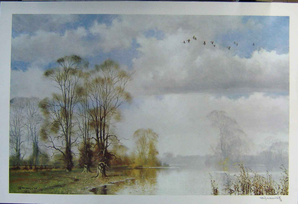 Original Old Antique Print Landscape Scene Trees Lakes Birds Large Jennings