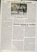 Original Old Vintage Print The Problem The 1947 Derby Horse Race 20th Century