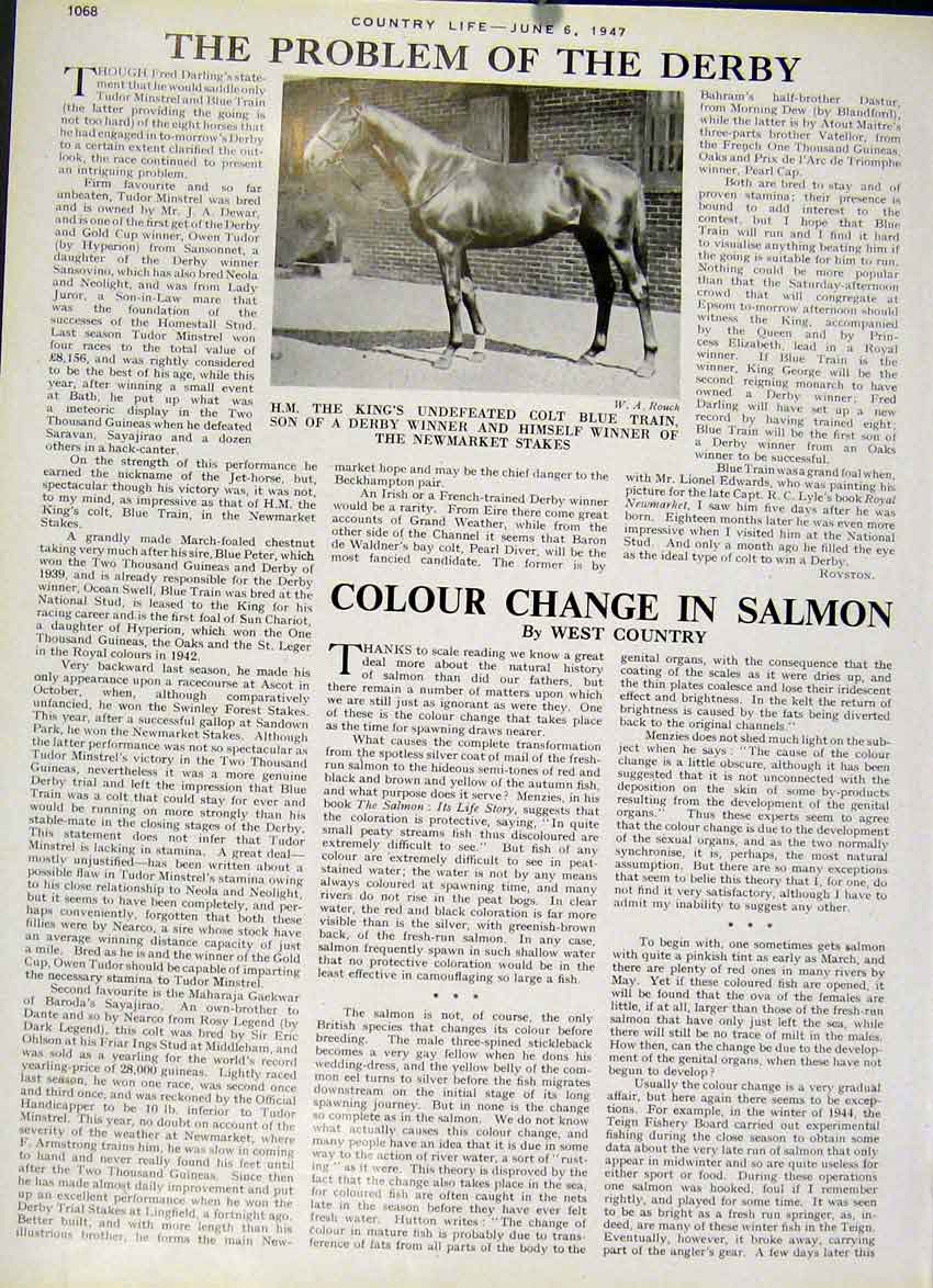 Original Old Vintage Print The Problem The 1947 Derby Horse Race 20th Century