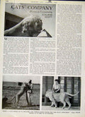 Original Old Vintage Print Cat'S Company By Cleland Scott 1947 20th Century