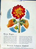 Original Old Vintage Print British Celanese Advert Green Fingers 1947 20th