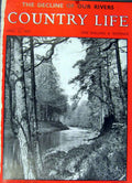 Original Old Vintage Print Spring On Upper Dart Devon 1947 House Sale 20th