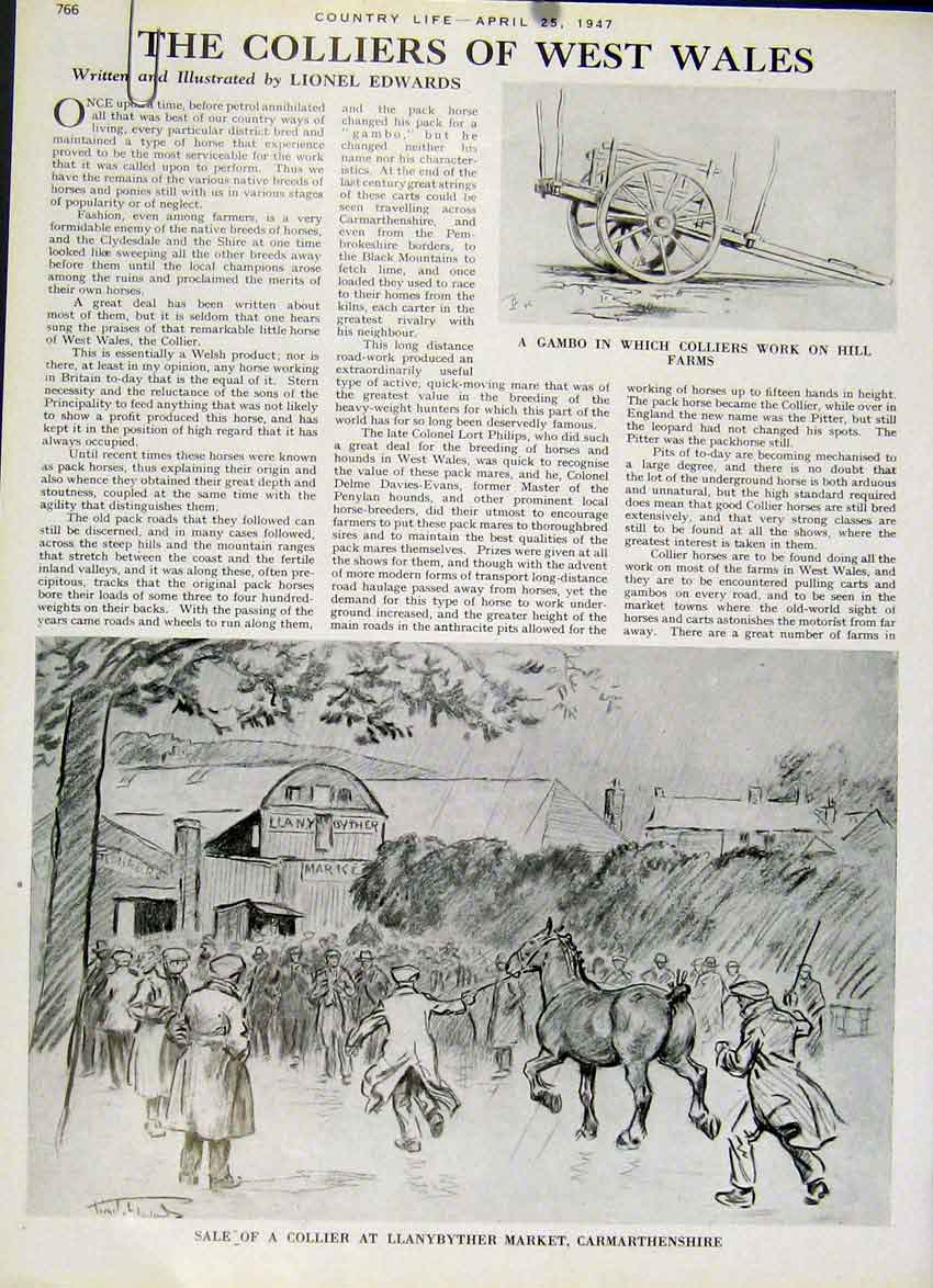 Original Old Vintage Print The Colliers West Wales 1947 Horses 20th Century
